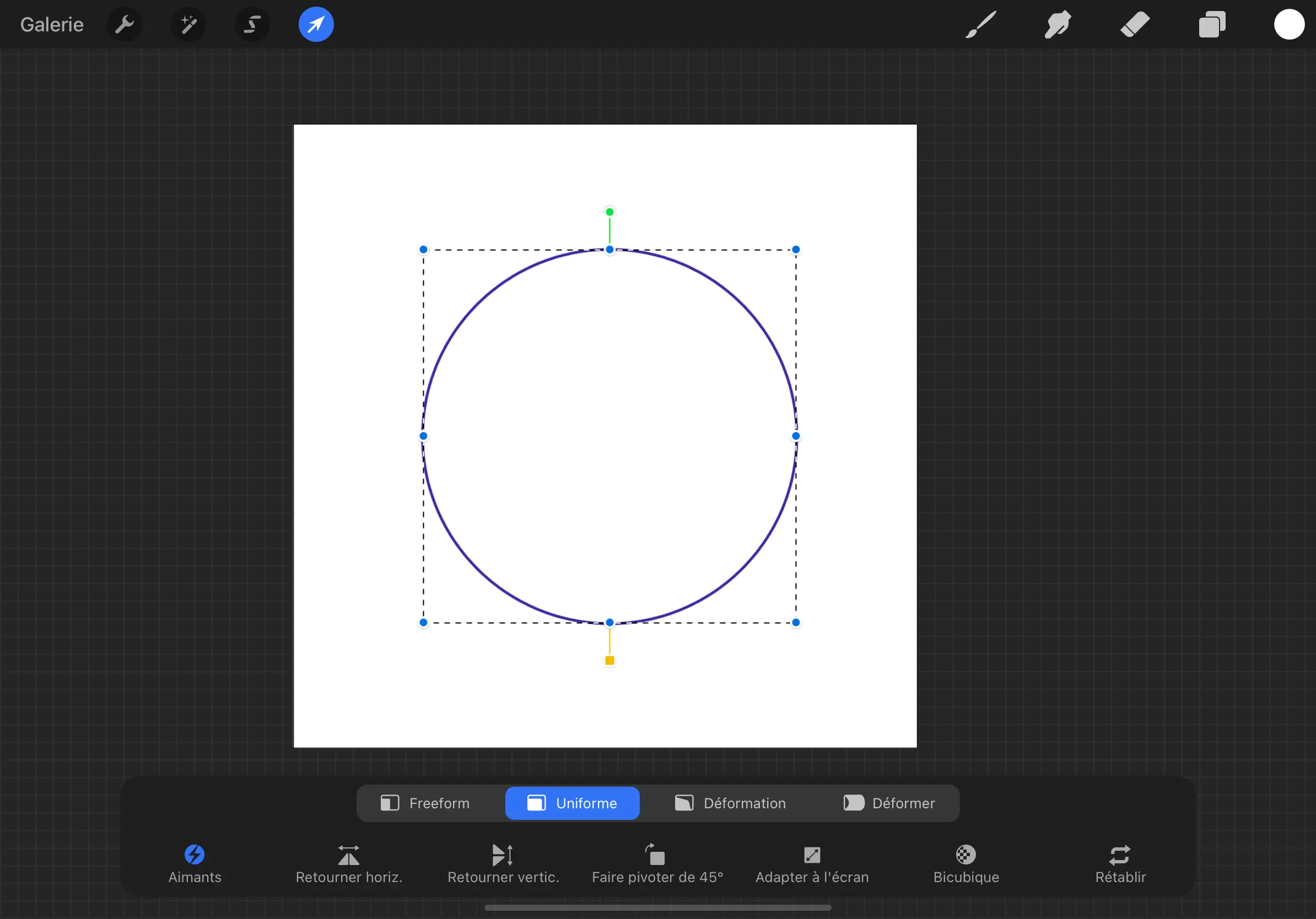 Cómo hacer un círculo en Procreate? 